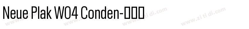 Neue Plak W04 Conden字体转换